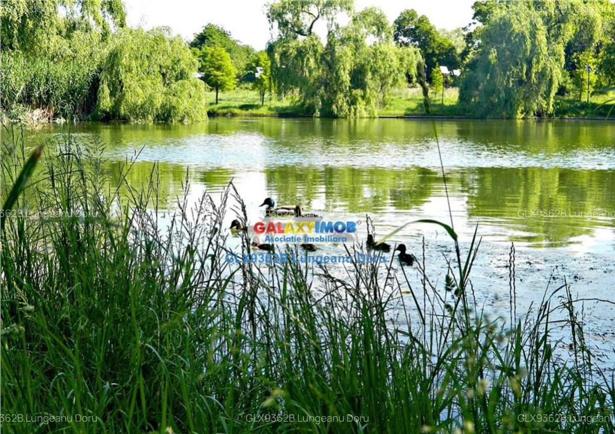 Teren intravilan de la 330mp, Sosea, langa Balta, Rate Dezvo - 5