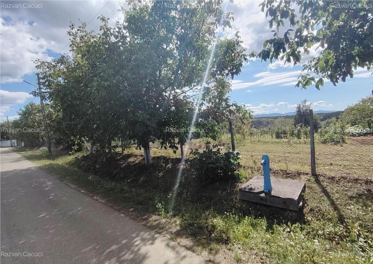 RECO teren intravilan in Saliste de Beius - 1