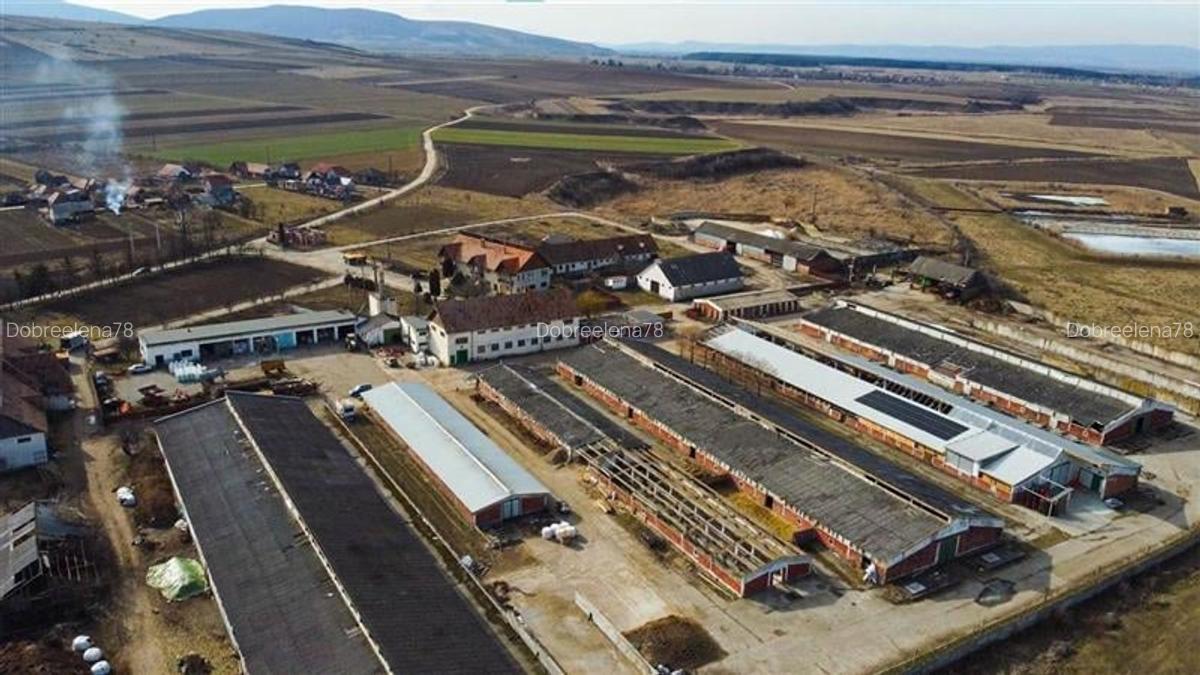 FILM! Complex agrozootehnic cu traditie, echipat + pretios potential multiplu - 12
