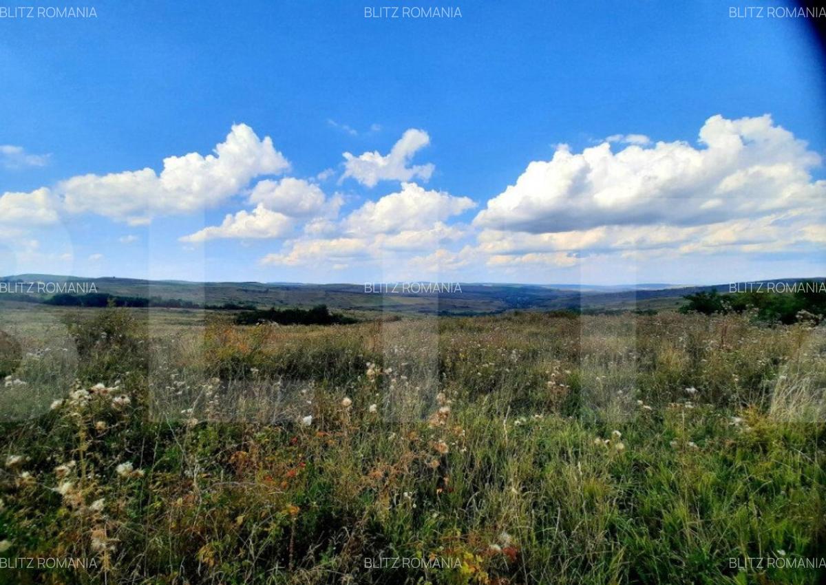 Teren intravilan de 5800 mp, situat in Padureni - 8