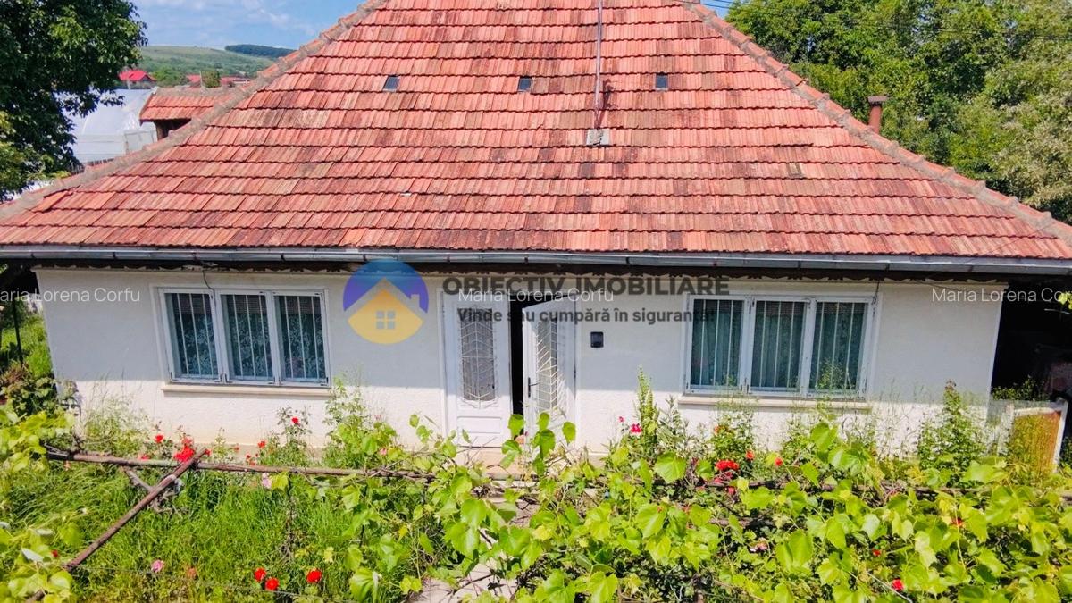 Casa traditionala Bodesti - 1