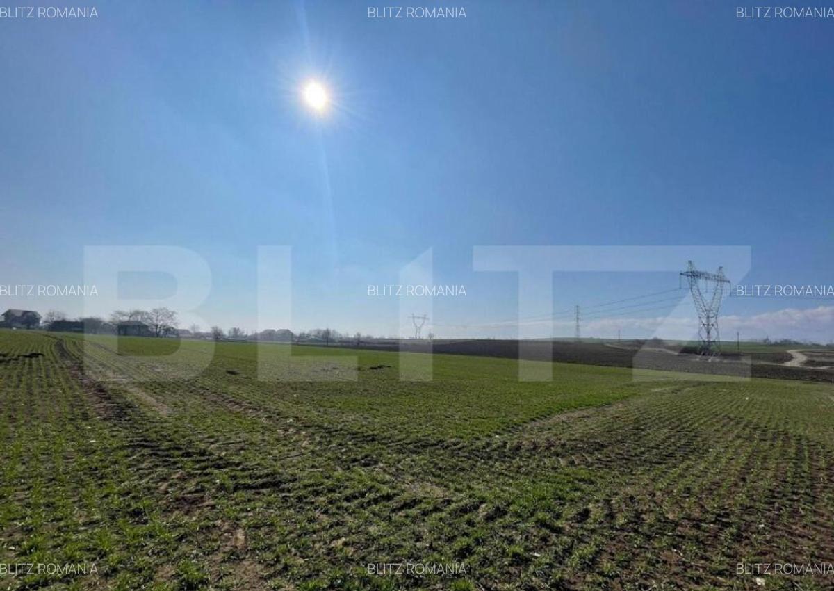 Teren extravilan, 7.300 mp, front 51 ml - Falticeni - 1