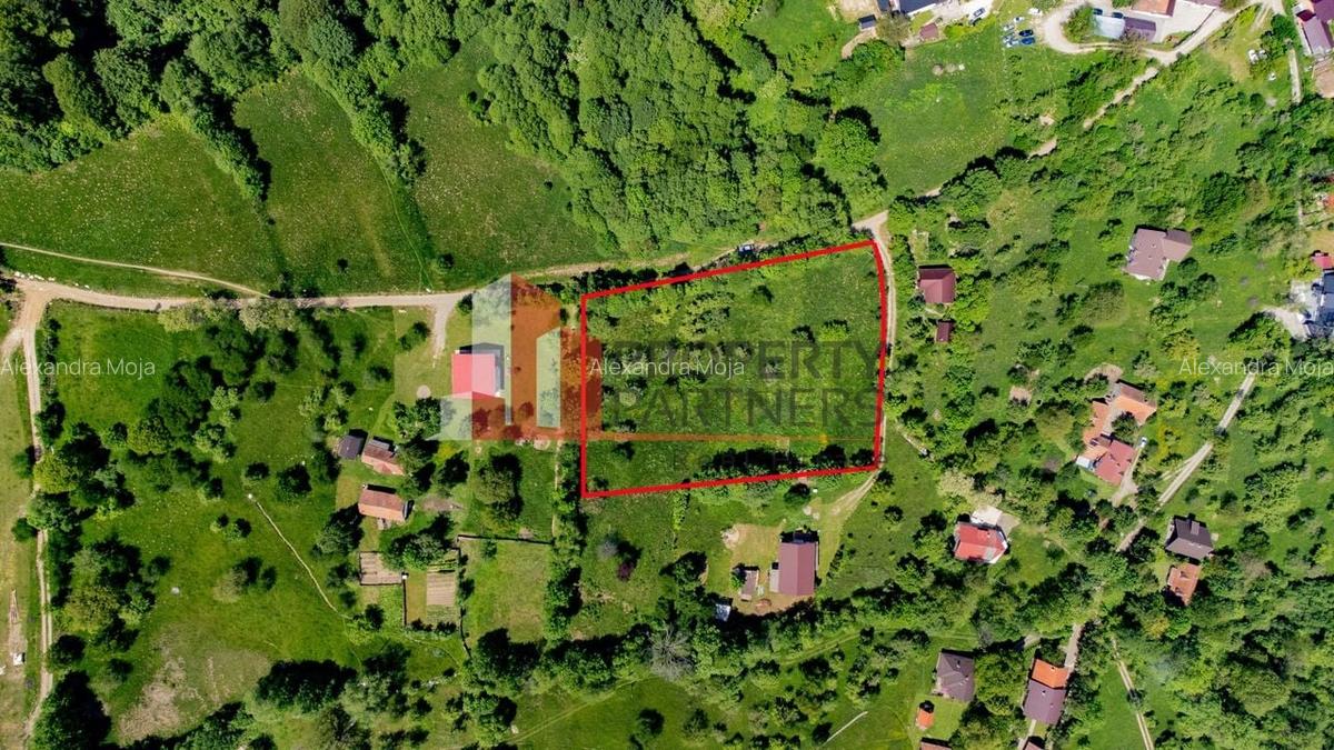 Teren Construcții intravilan de 6273 mp, în Bran - 3