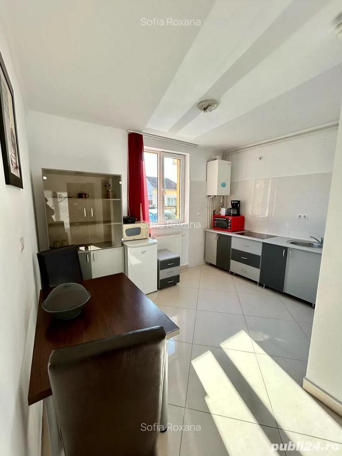 Apartament 1 camera, str. Salciilor, 42mp, parter - 1