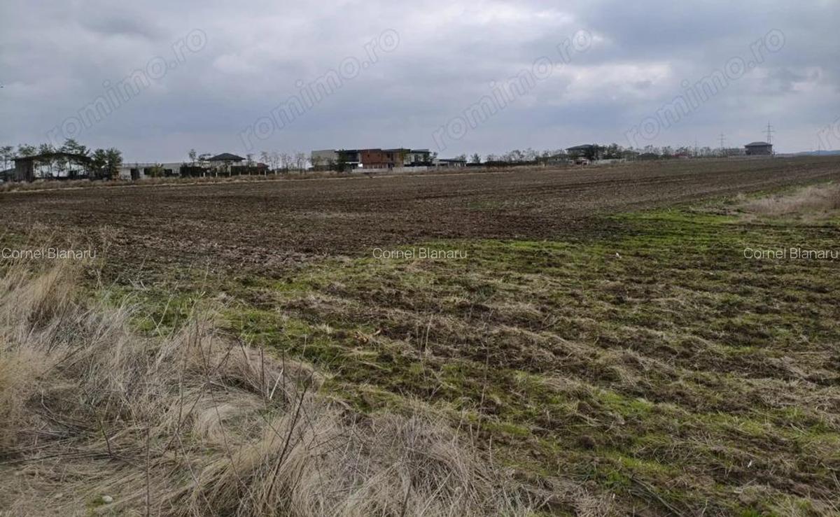 Teren 539 mp, utilitati la lot, rate fara dobanda - Vidra - 8