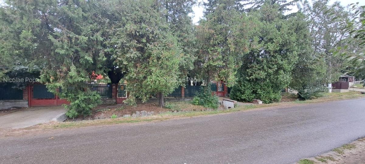 Gospodarie (casa si teren) com. Gura Vadului, Prahova - 13