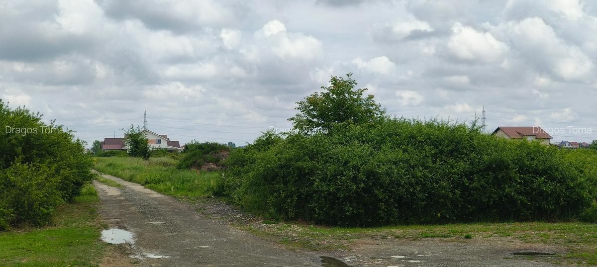 Teren Intravilan Moșnița Noua - 6