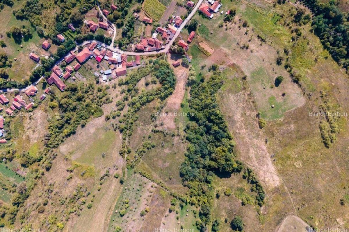 Casa veche cu teren ,Varmaga jud Hunedoara - 14