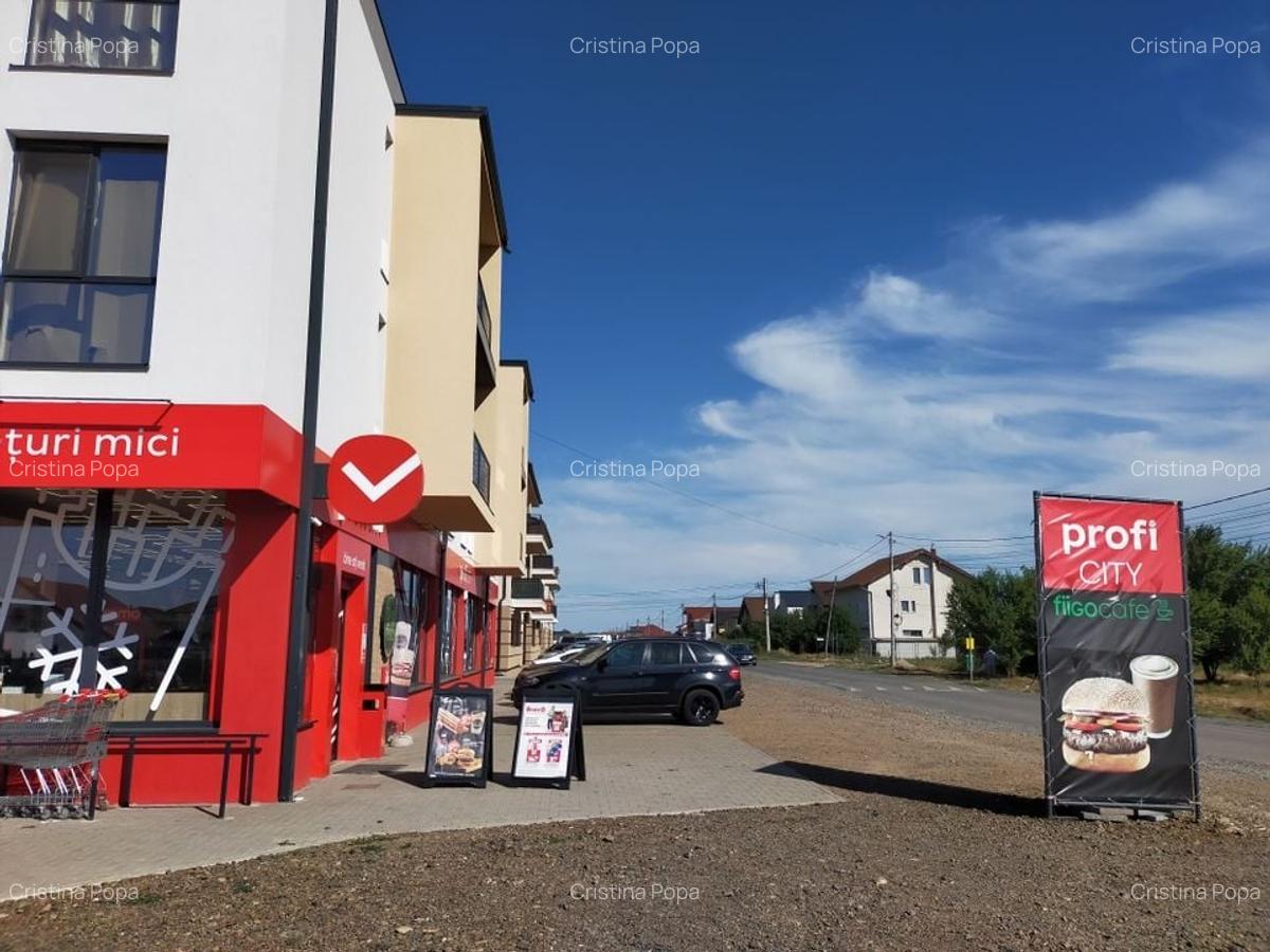 Spațiu comercial, 120 mp în Dumbrăvița - 3
