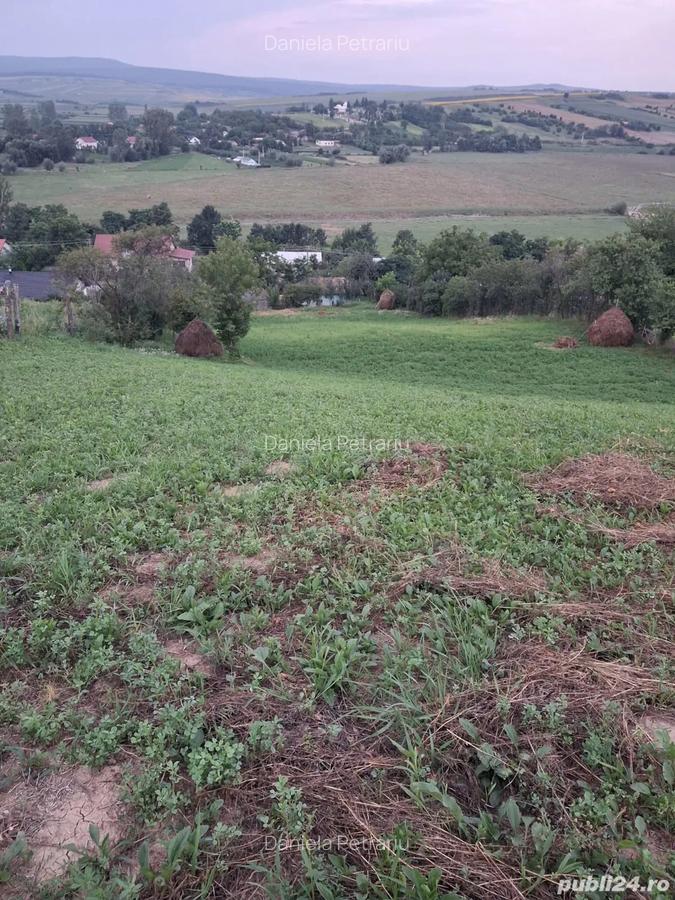 Casa de vanzare! - 3