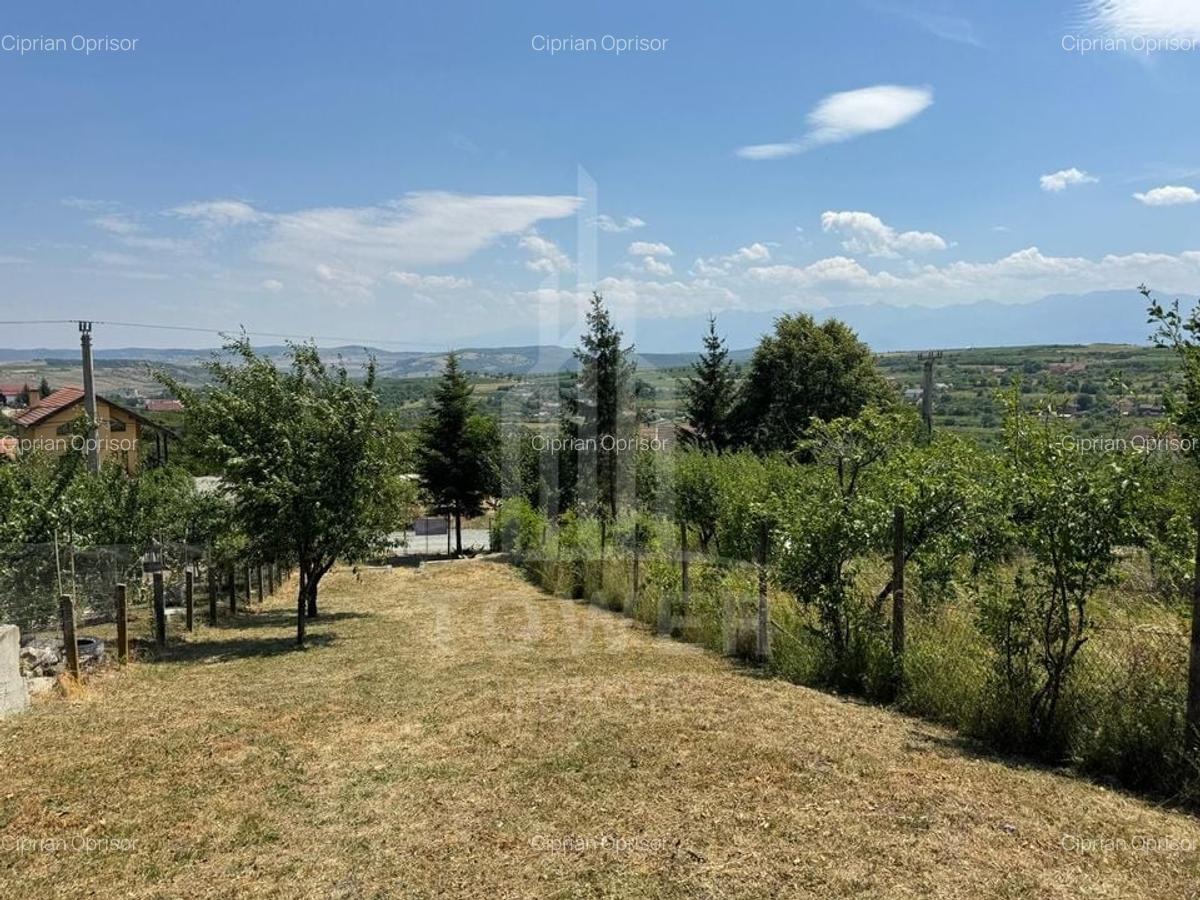 Casa cu 3 camere si teren | 111mp utili 450mp teren | Daia Noua | EXCLUSIVITATE - 6