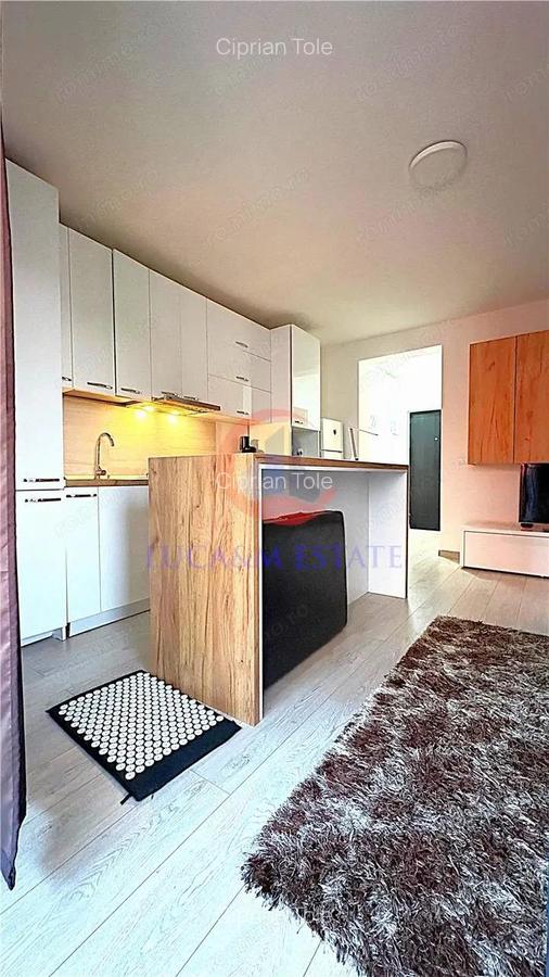 Apartament 1 camera si loc de parcare - 9