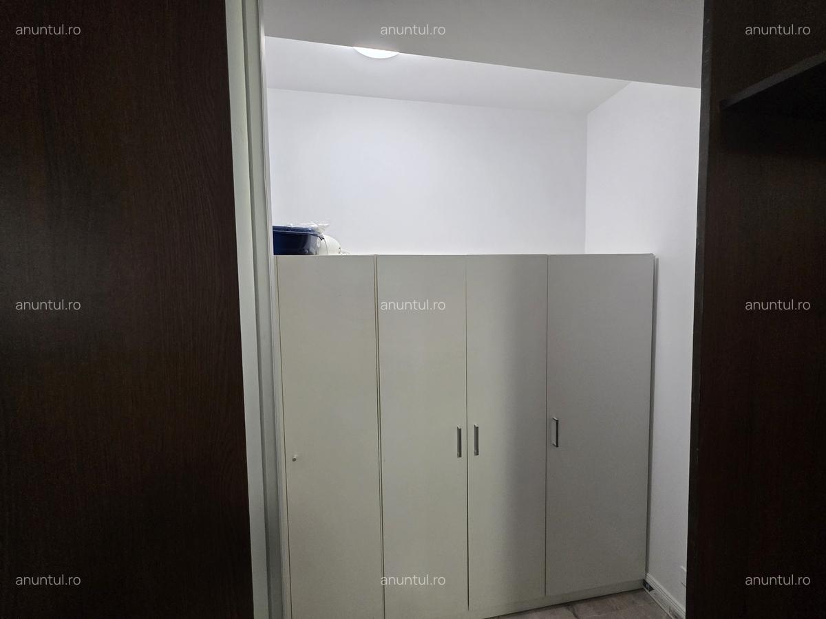 Ion Mihalache-Domenii - 11