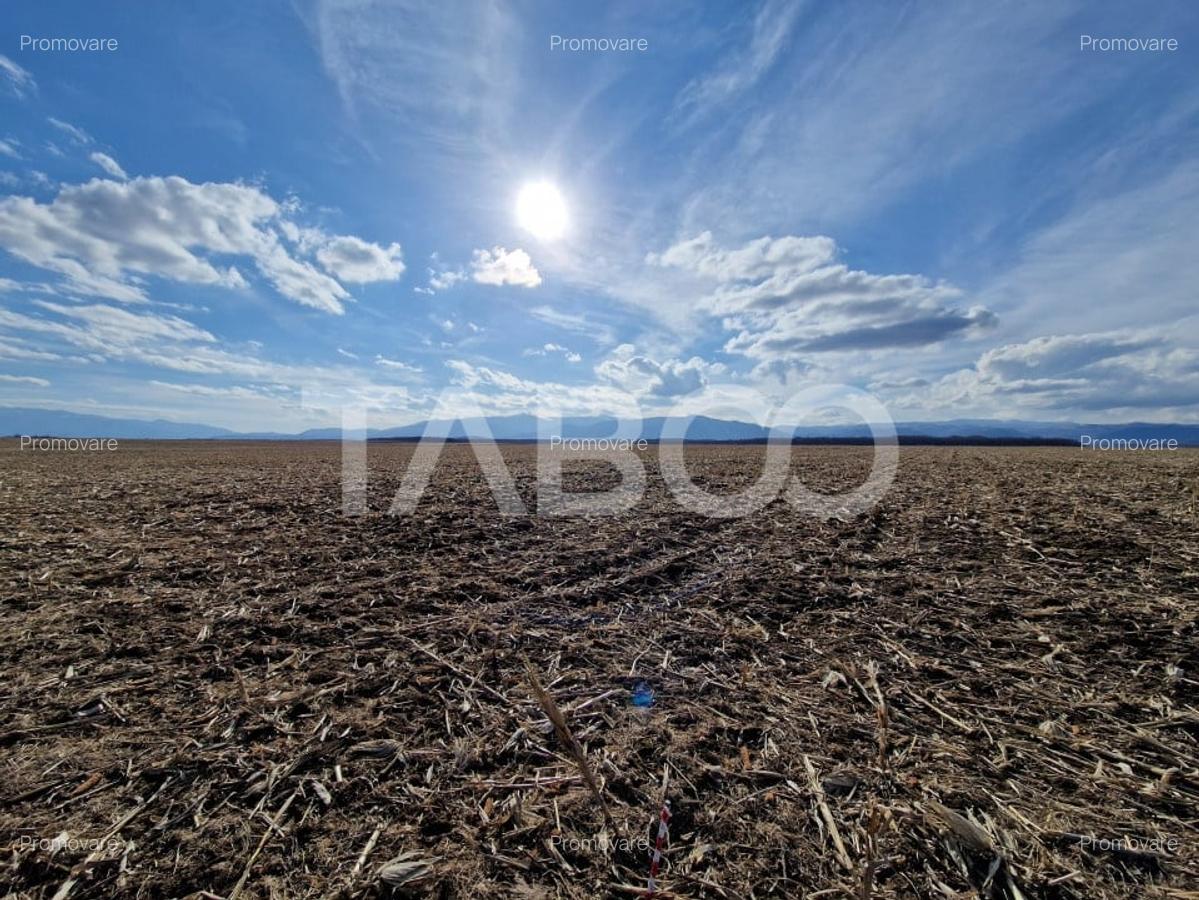 Teren extravilan arabil 5950 mp Selimbar - zona Sopa - 4