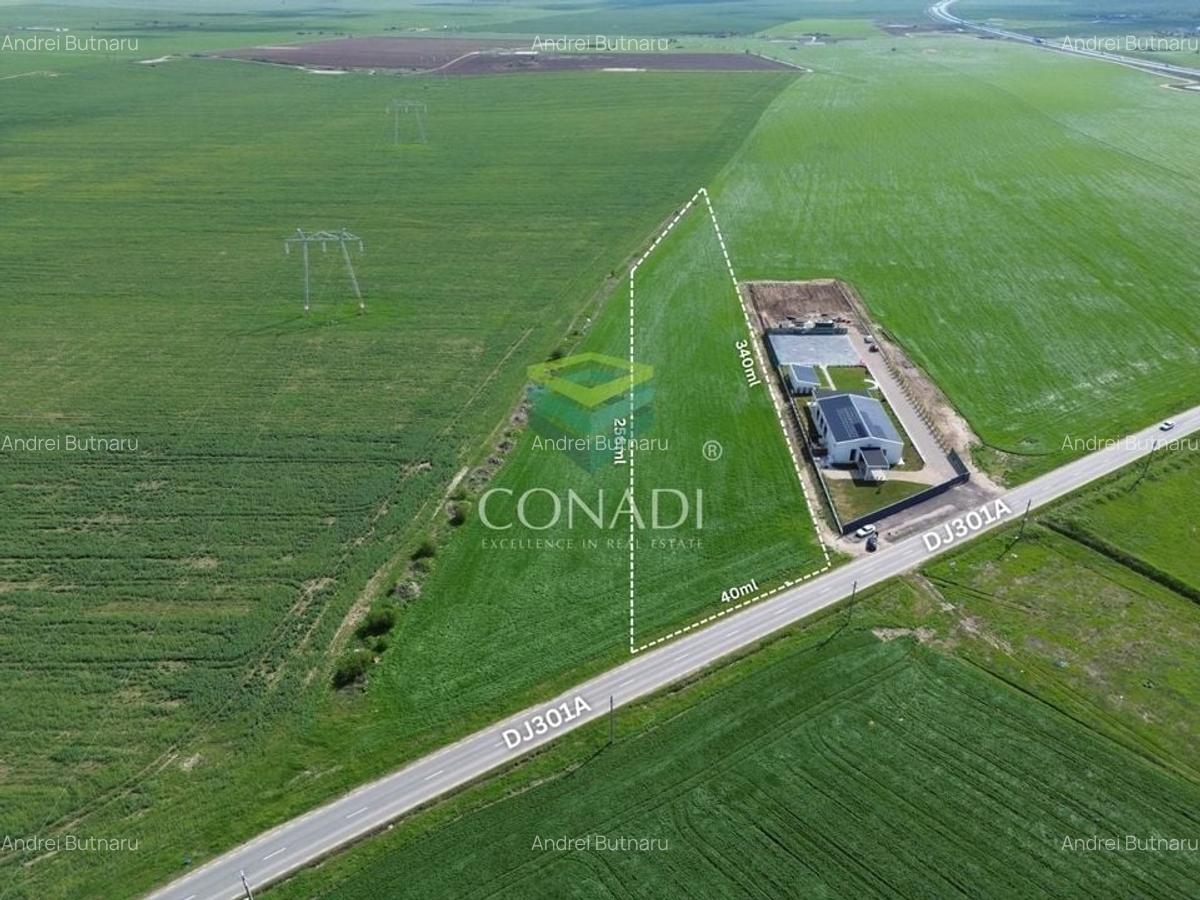 Teren pretabil pentru industrial - Cernica - 1 Ha - 1
