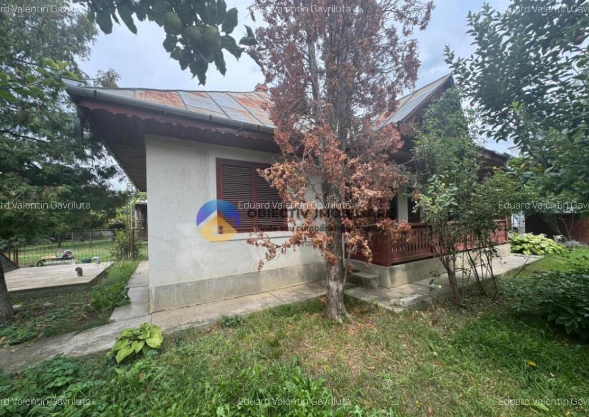 Casa tradi?ionala de vanzare in comuna Podoleni, jud. - 11