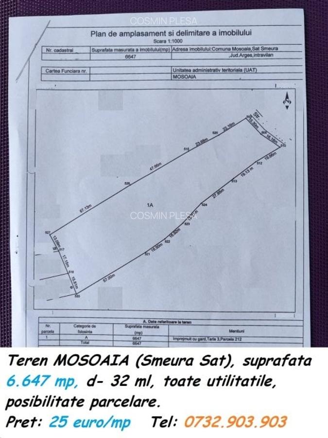 Terenuri Trivale, diverse suprafete, utilitati - 12