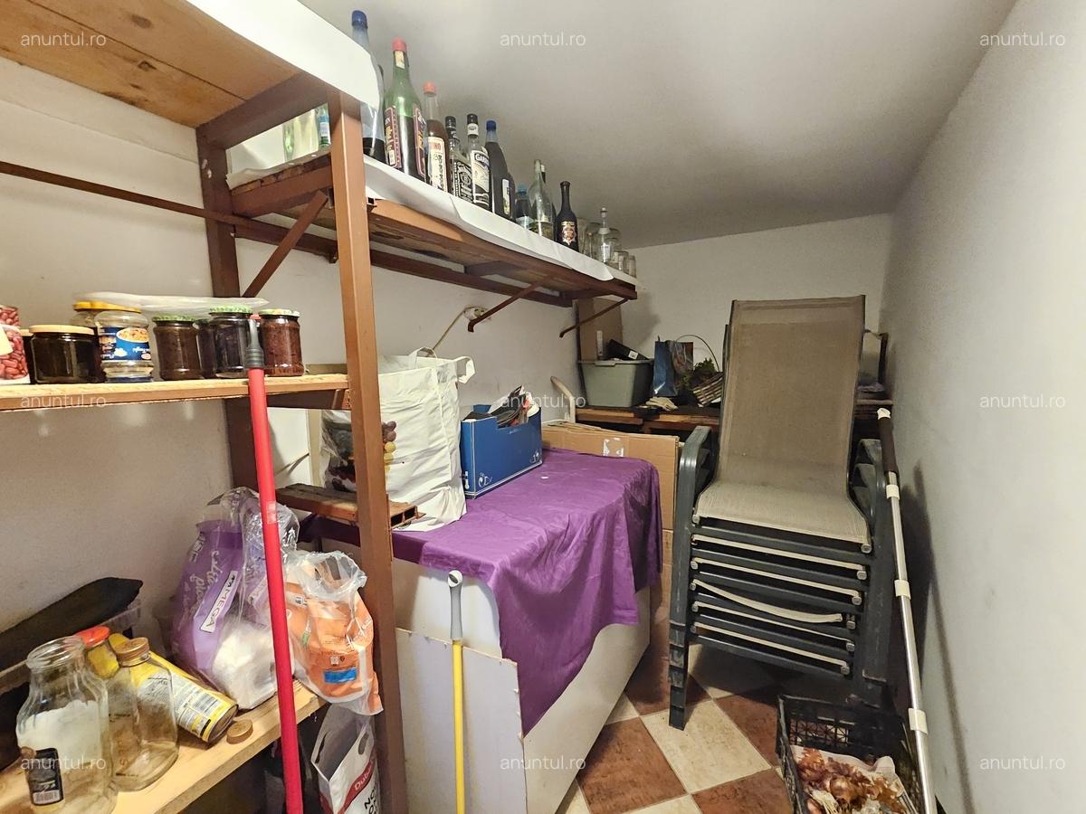 Bucurestii Noi, Laminorului, Casa, P+POD, 124 mp - 9
