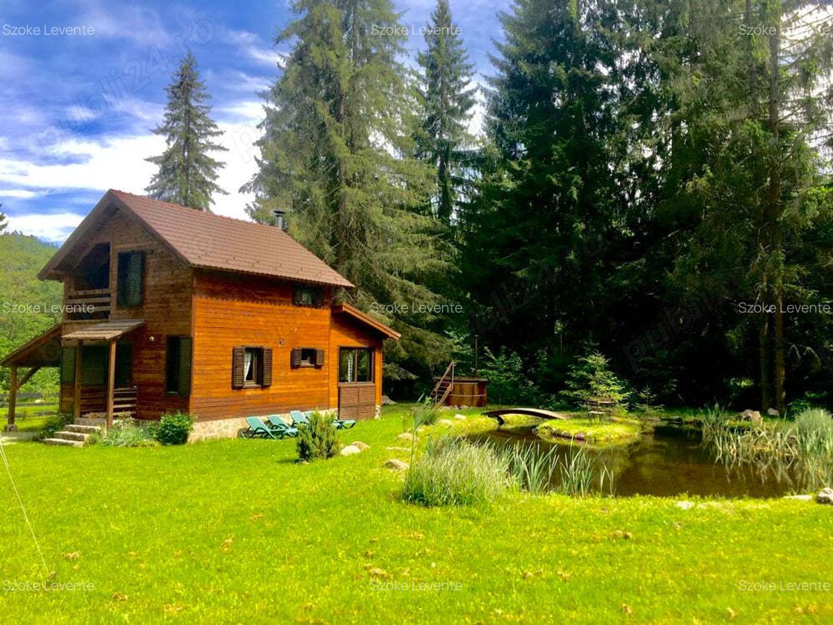 Casa din grinzi pe marginea paraului Borzont - 1