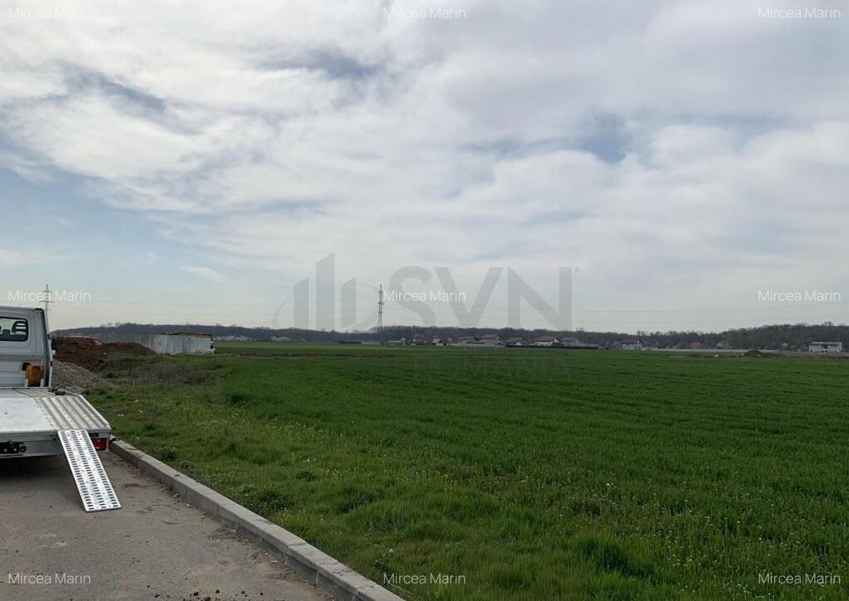 Teren Cornetu-Magurele - 24581 mp - Strada Magnoliei - Ac... - 3