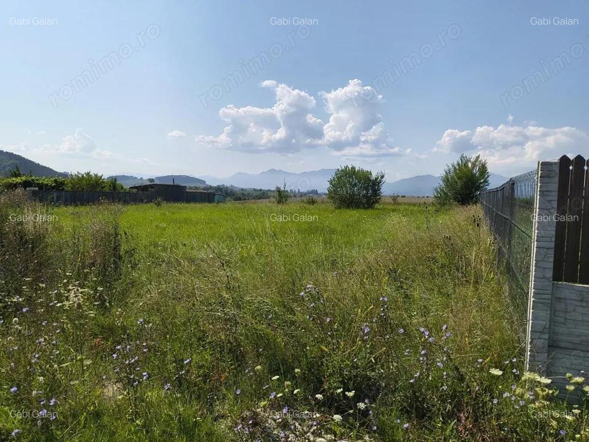 Teren Bod - intrare dinspre Sinpetru - 2