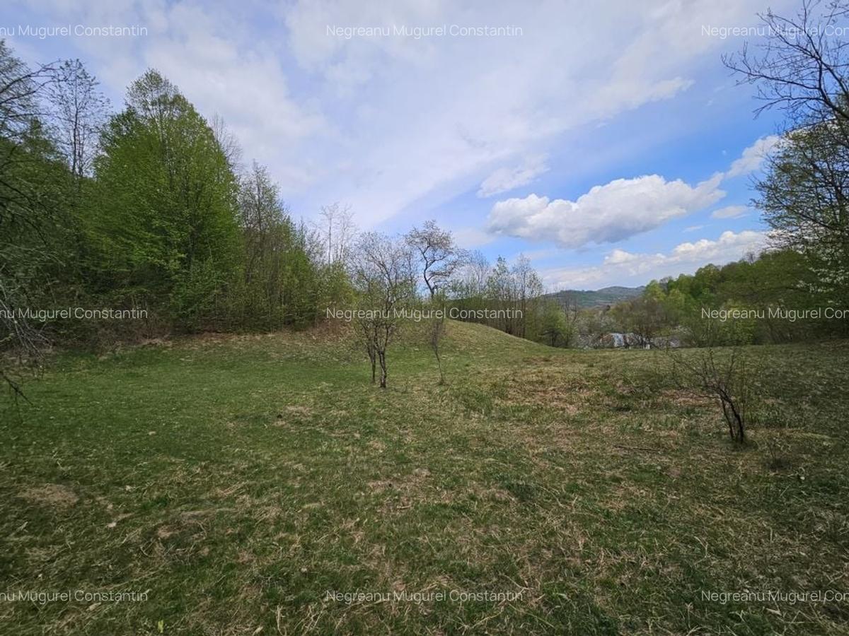 Teren intravilan 1454 mp la marginea padurii zona locuita de case! - 3
