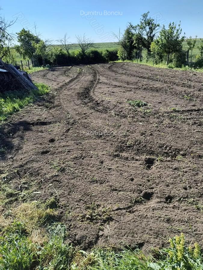 Casa de vinzare In Comuna Ziduri Sat Costieni Buzau la 10 Km de Rm Sarat - 10