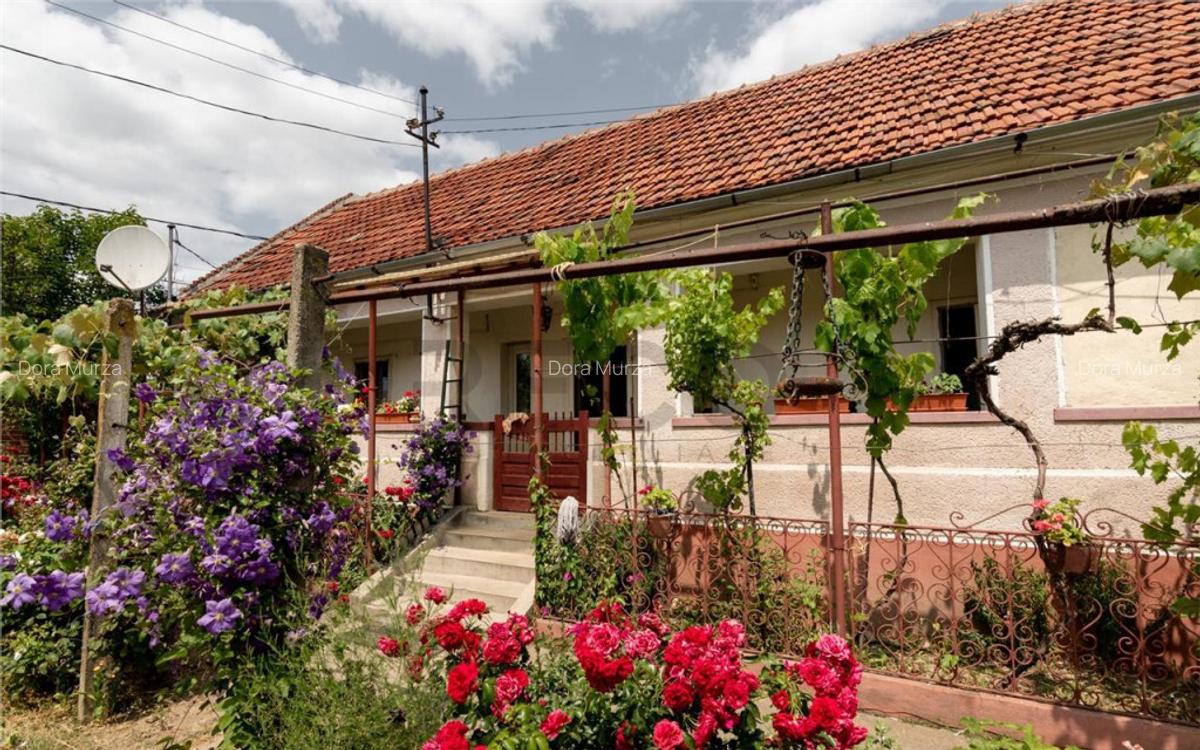 RECO Casa de Ineu - 16