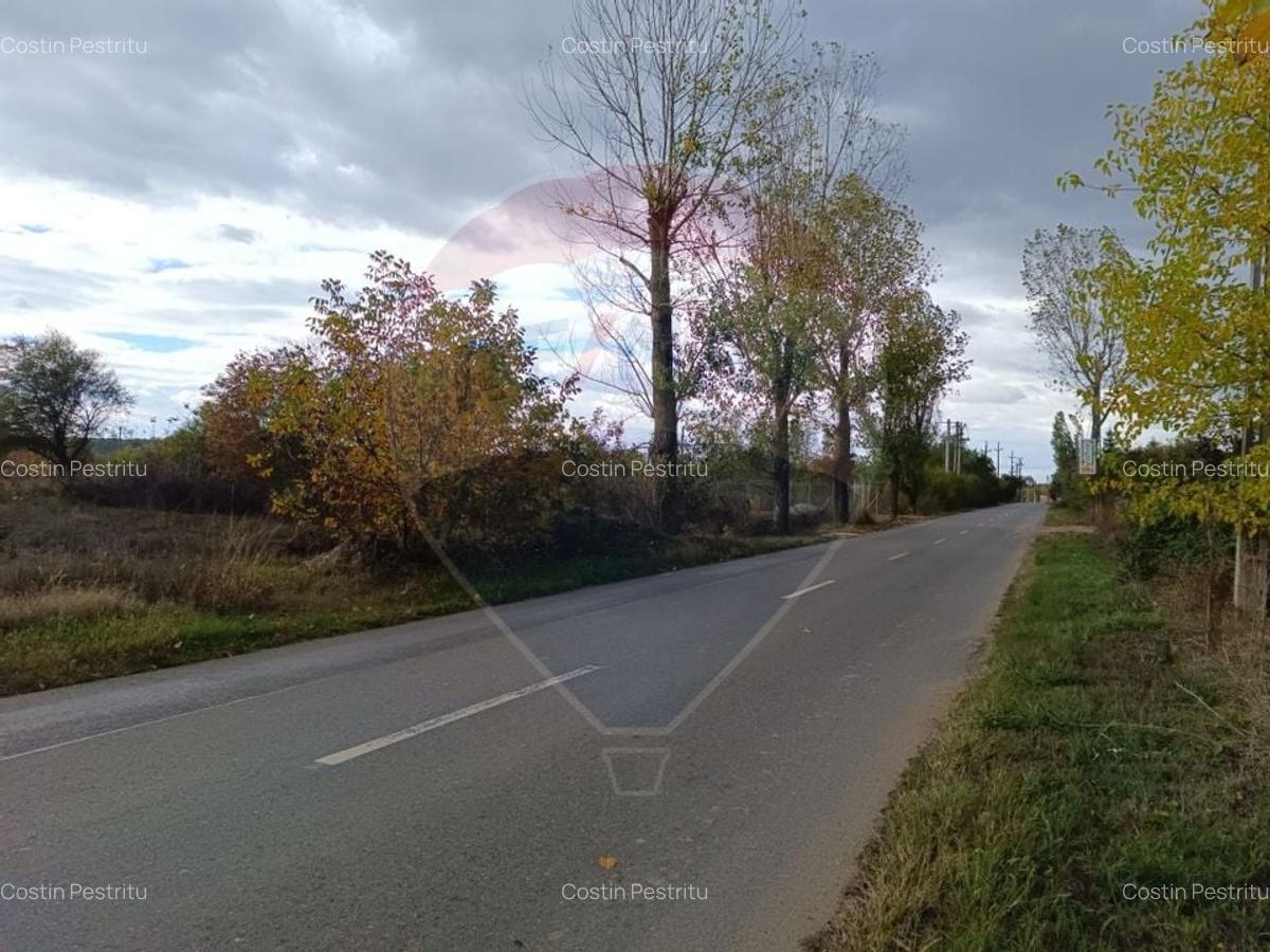 Teren 2,056mp Ciolpani - 10