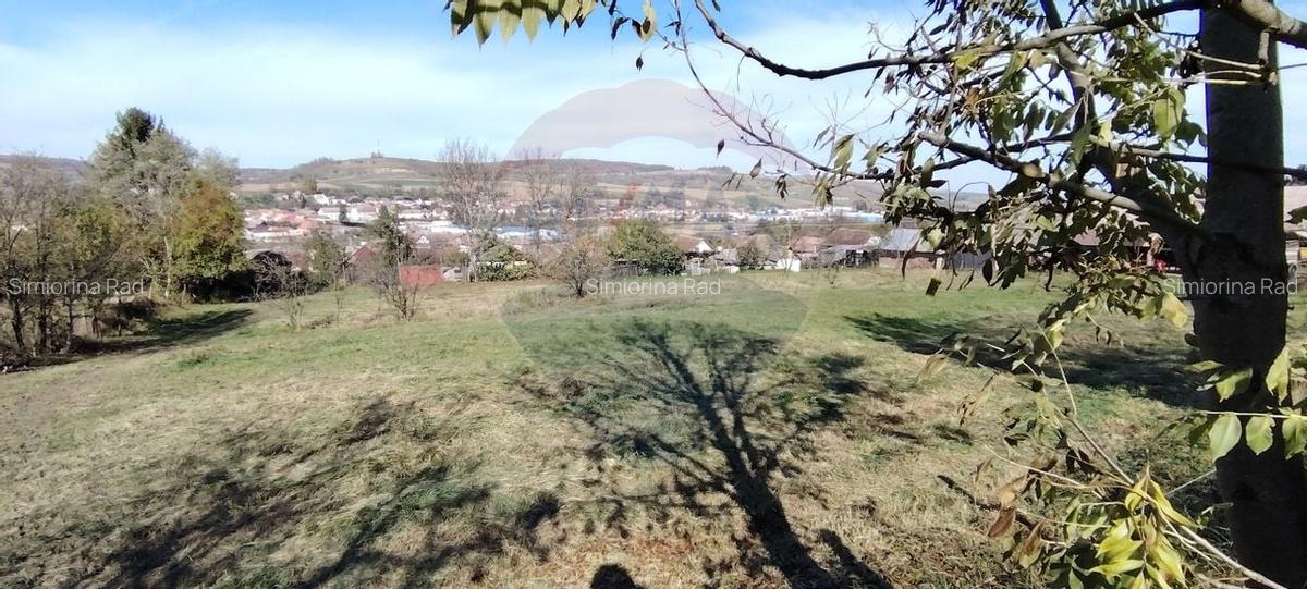 Teren intravilan de vanzare 3,798mp Str.Floreasca - Agnita - 3