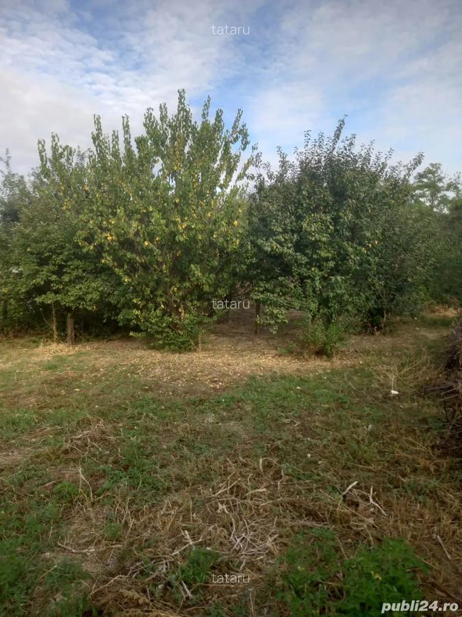 Casa de vanzare in Sat Odaia Turcului, Com Matasaru Jud Dambovita - 9