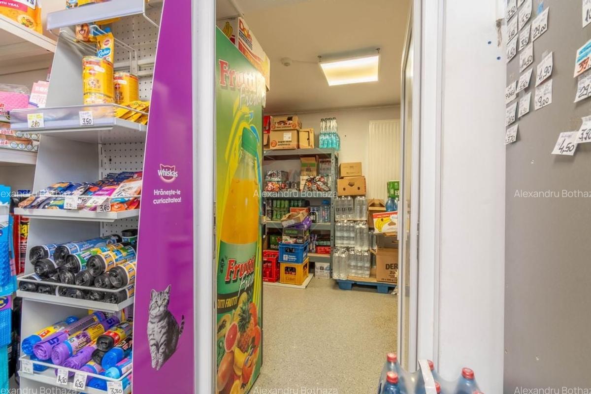 Spațiu comercial, 110 mp în Bună Ziua - 10