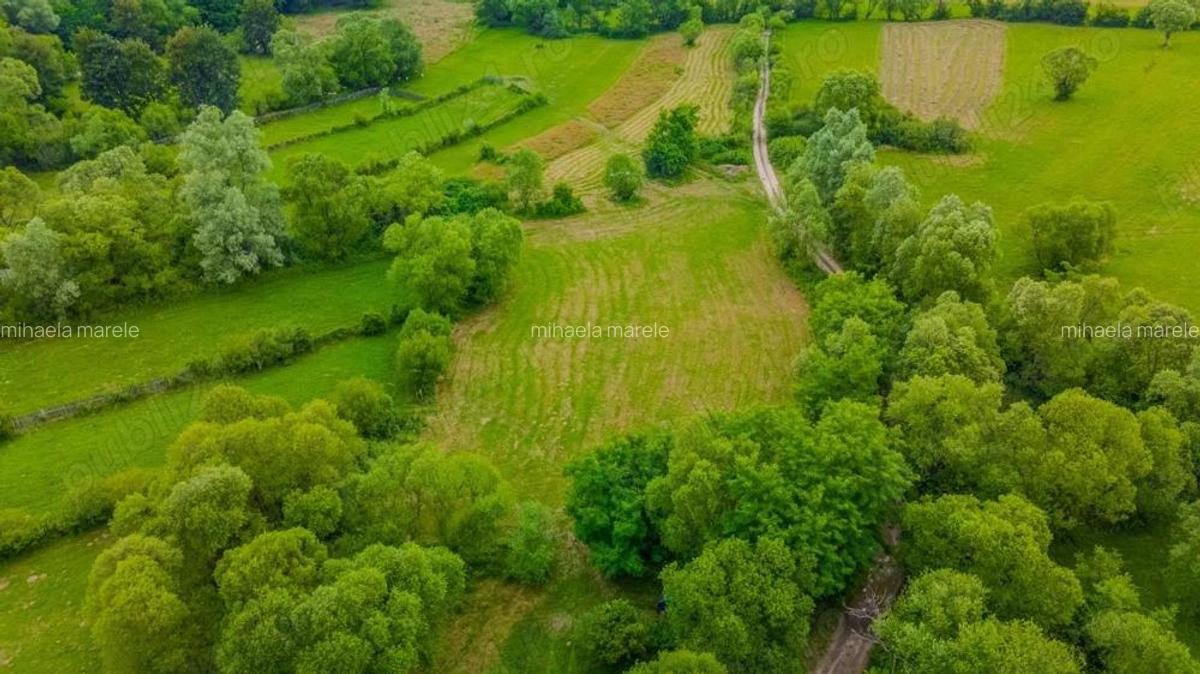 Comision 0%, teren 900 mp, Sinca Noua - 1