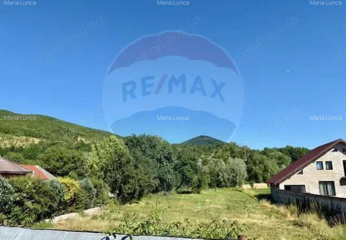 Teren 3,154mp Barsana / Intrarea principala - 1