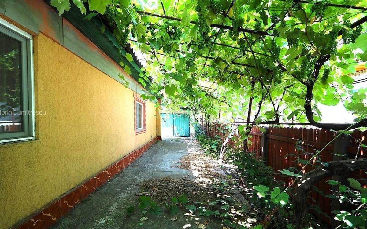 Cumpana - Str. Viilor nr. 7 si 8, teren 1589 mp, deschide... - 16