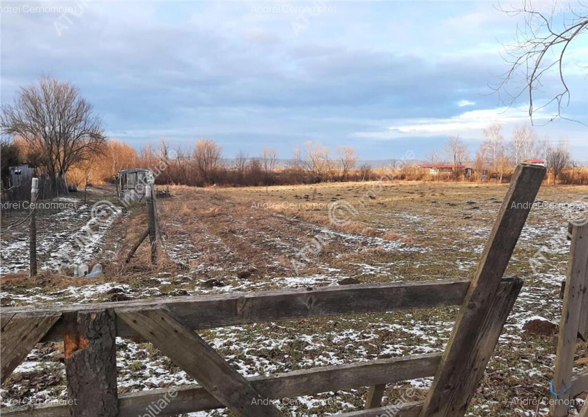 Teren intravilan 1000 mp de pe Valea Avrigului - 3