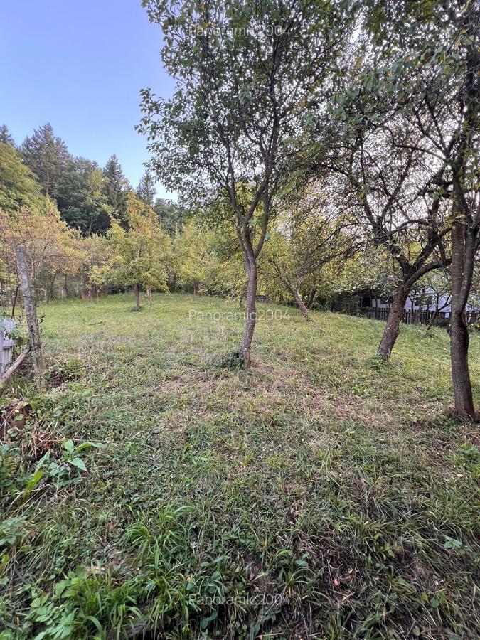 Casa de vanzare Soveja-Vrancea - 32