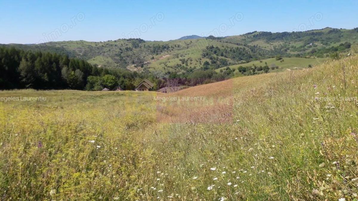 Teren intravilan de vanzare in Breaza (dezvoltare imobiliara) - 2