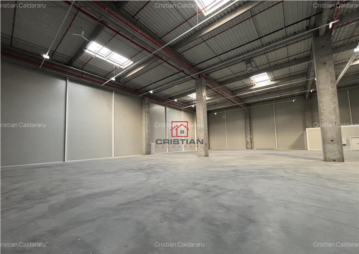 Depozit/hala/spatiu industrial Theodor Pallady - A2 - 7