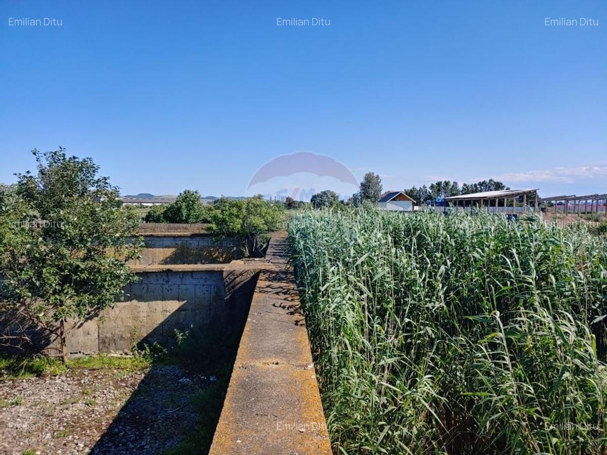 Spatiu industrial de 480mp+teren de 15069mp in Dornesti, Suceava - 7