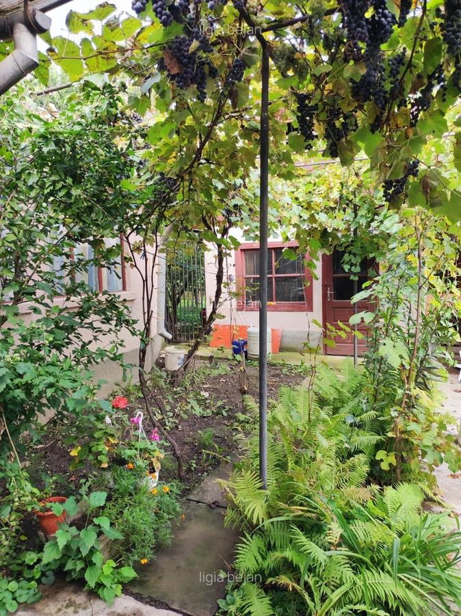 Casa de vanzare, Reghin - 7