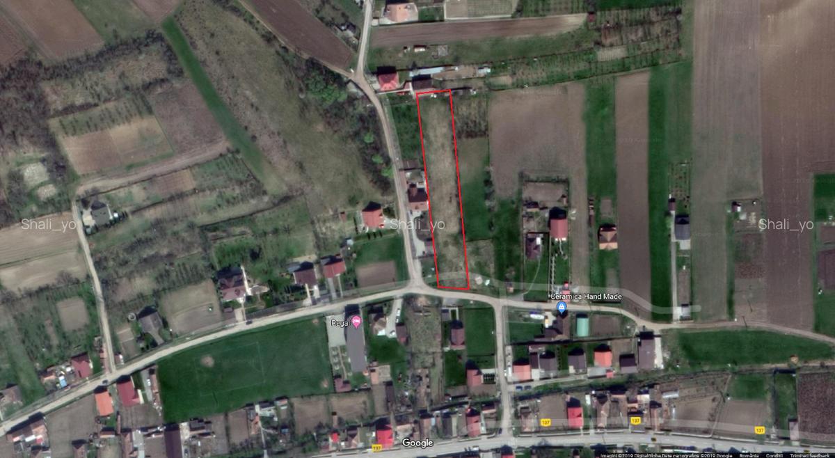 PROPRIETAR Vand teren intravilan 2600 mp pentru casa in localitatea Bardesti - 2