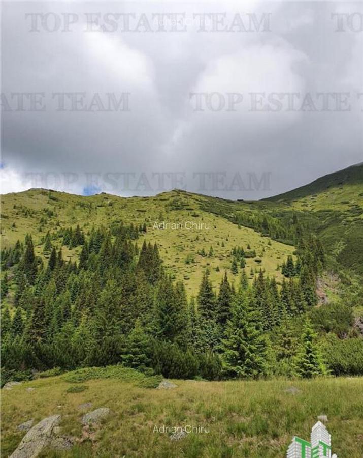 SUPER OPORTUNITATE, DE VANZARE O PROPRIETATE SPECIALA, MUNTE - 13