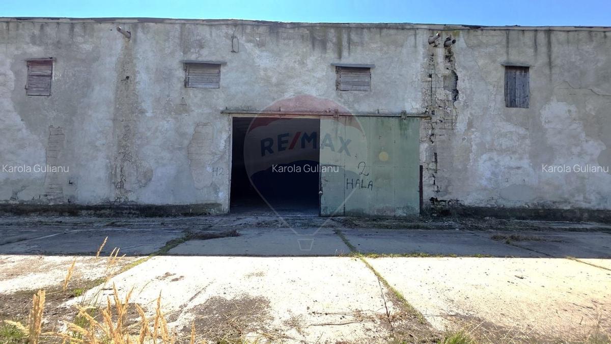 Vanzare hala industriala Colonia Bod, judetul Brasov - 12