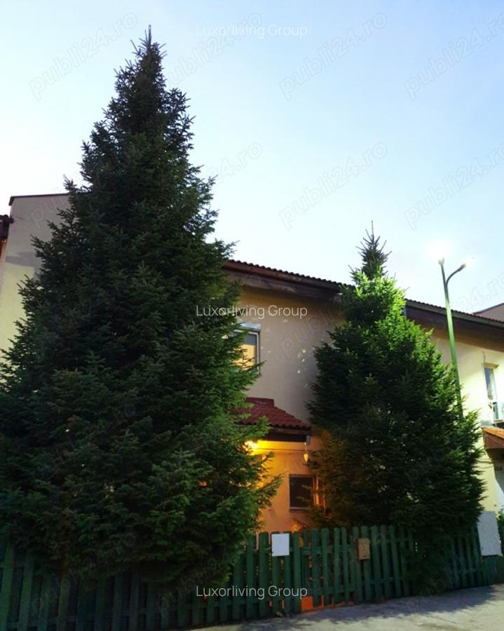 Vila cu 4 camere si Gradina Deosebita Pipera Loc de Joaca Complex Lux - 5