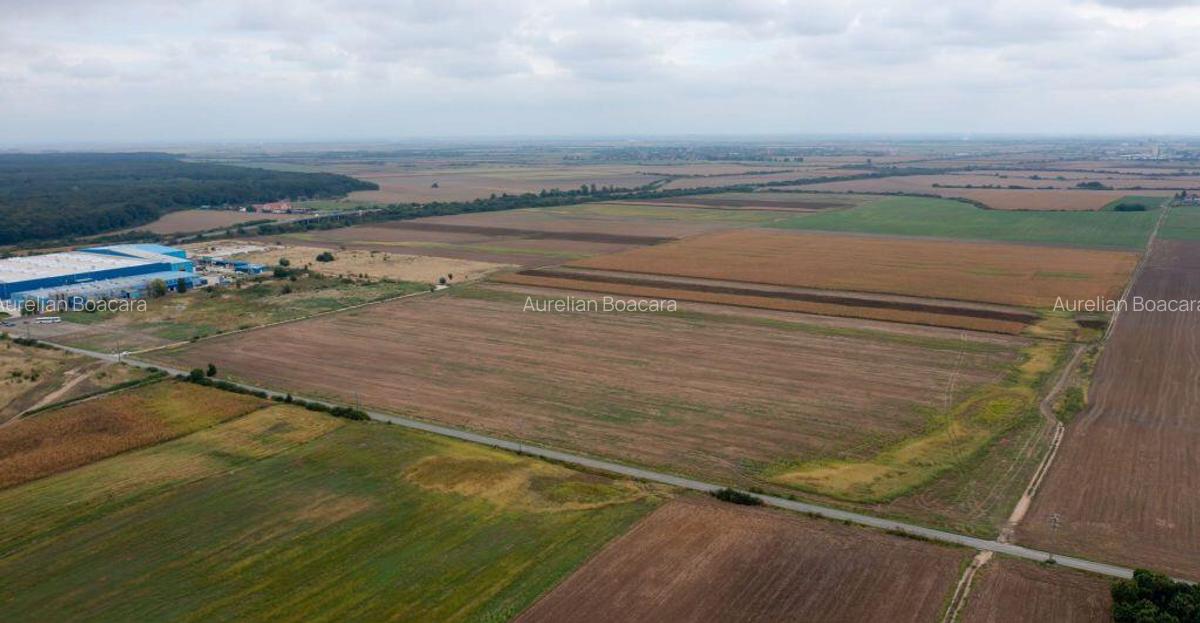 Teren extravilan 5 hectare ( zona industriala ) ?ag - 10