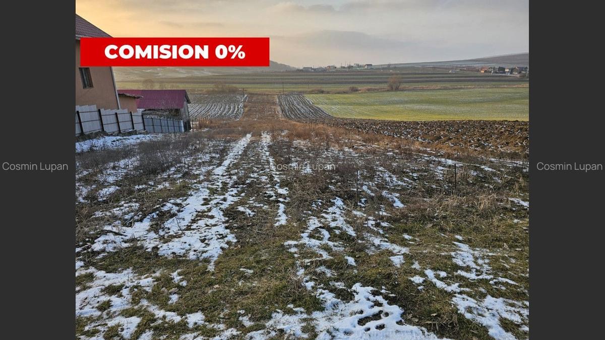 Teren de vanzare 4300 MP - 1