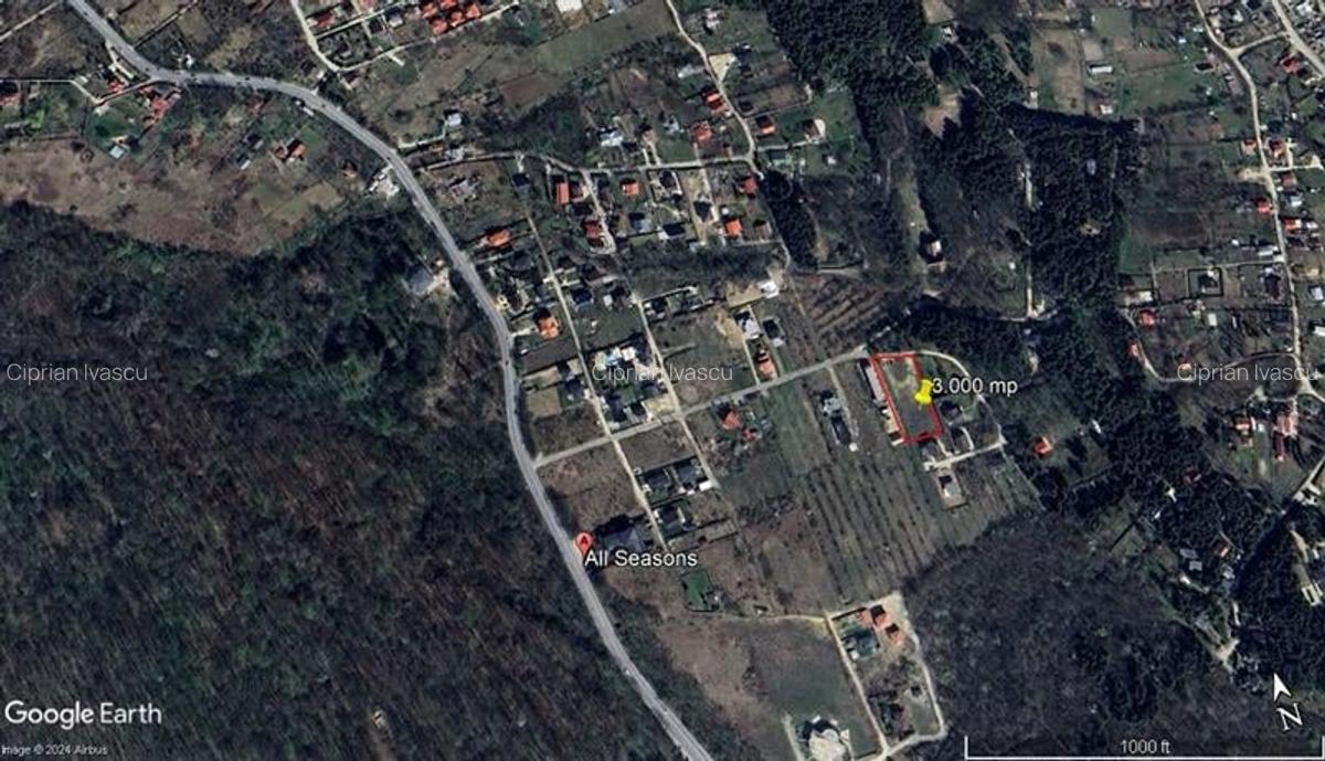 Teren 3000 mp Bucium ? langa padure, ideal pentru casa sau vile - 1
