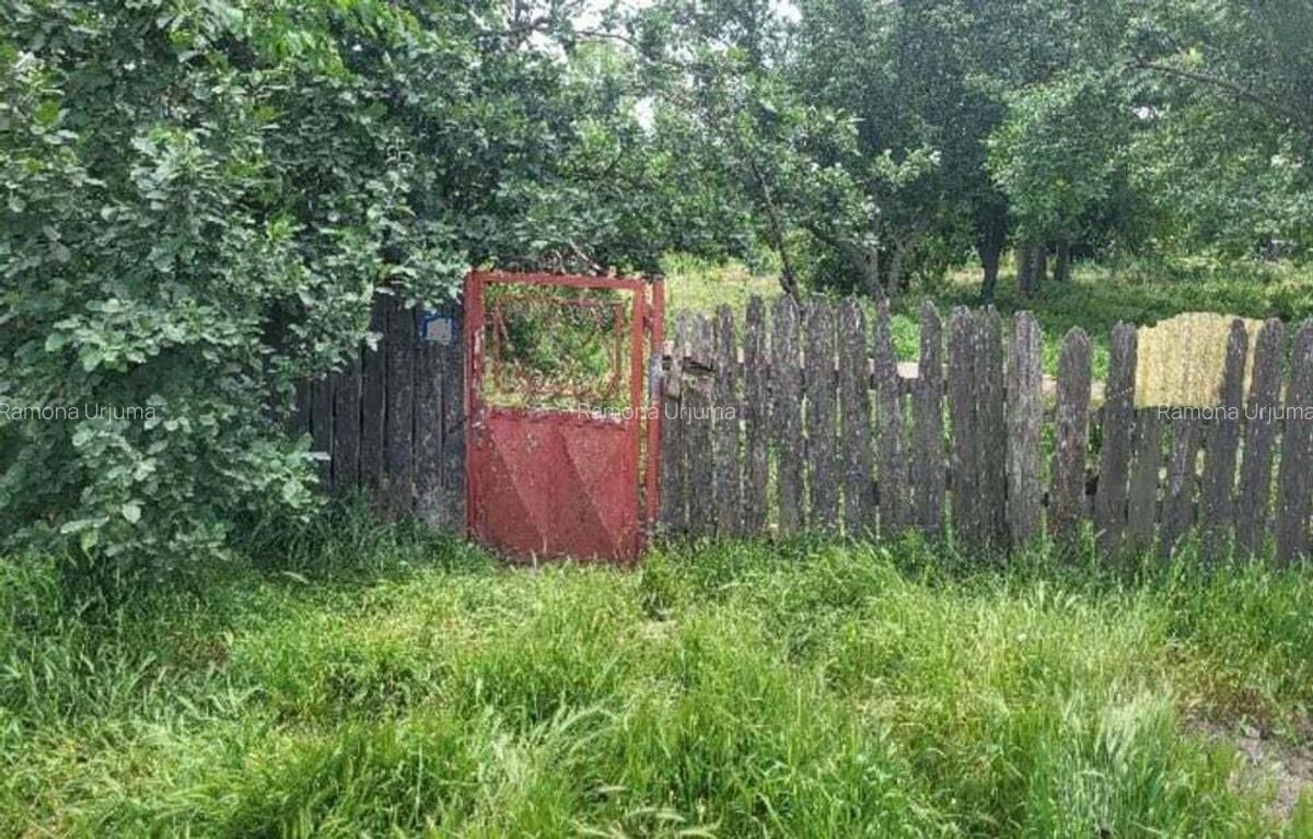 Casa si teren, loc Dragalina, Jud. Calarasi-03.03 - 6