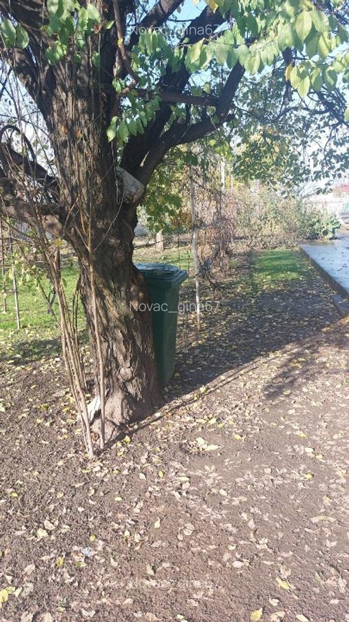 Vand casa loc.Platonesti, Jud.Ialomita - 3